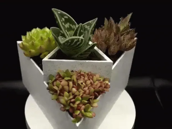 Triangular Vase 01